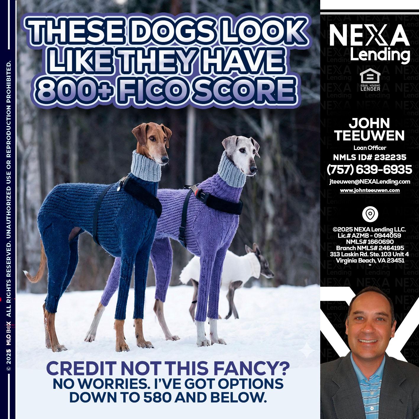 THESE DOGS LOOK - John Teeuwen -Loan Officer